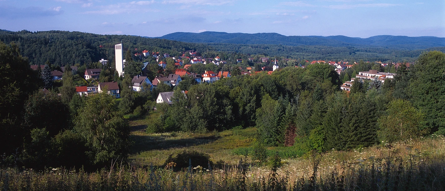 Blick auf Bad Sachsa 1