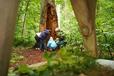 Geocaching-(c)BadIburgTourismus.jpg