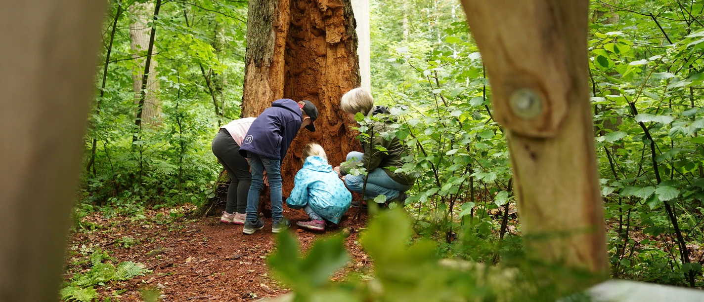 Geocaching-(c)BadIburgTourismus.jpg