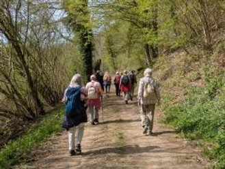Wandern.jpg