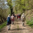 Wandern.jpg