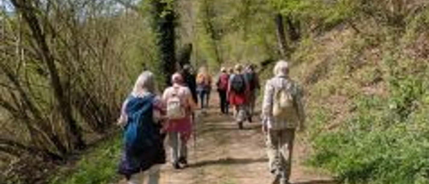 Wandern.jpg