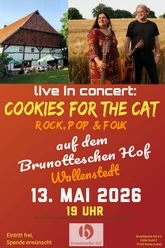 Cookies For The Cat