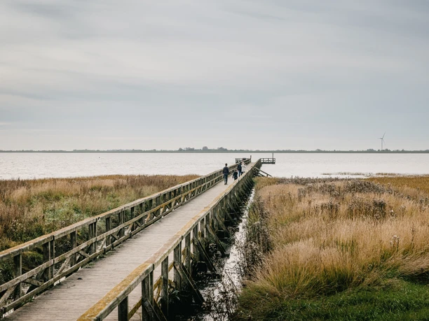 Nordfriesland_Husum_Schobüll Seebrücke