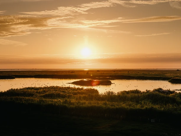 Nordfriesland_Hattstedtermarsch_ Landschaft
