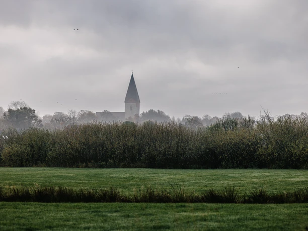Nordfriesland_Hattstedt_