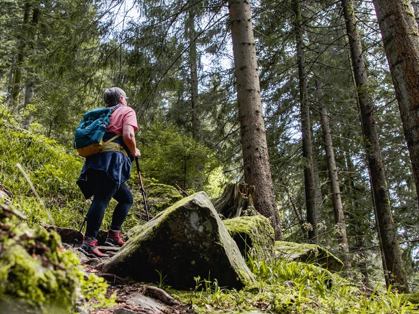 Wandern auf dem Teufelskanzelsteig in Bad Petertal-Griesbach