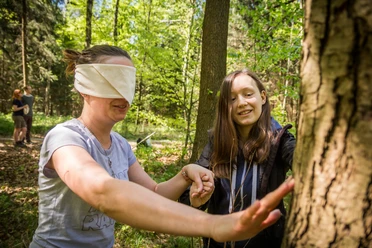 Ein Mensch fühlt mit verbundenen Augen die Rinde eines Baumes