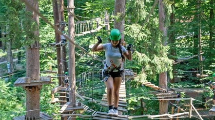 seilpark-interlaken-gast-unterwegs-bretterbrucke-baeume.jpg