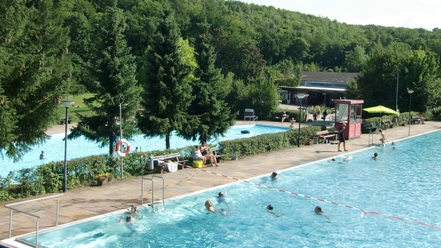 Waldschwimmbad_Salzgitter-Gebhardshagen_HD_16zu9.jpg Freibad am Waldrand mit schwimmenden Gästen in zwei blauen Becken und großen Nadelbäumen.