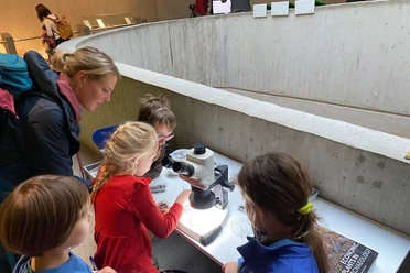 Tag der Forschung im Neanderthal Museum
