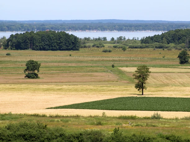 Blick-auf-das-Steinhuder-Meer.jpg Weite Felder und Wiesen, dahinter das blaue Steinhuder Meer mit weißen Segelbooten.