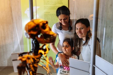 Freier Eintritt zum Internationalen Museumstag