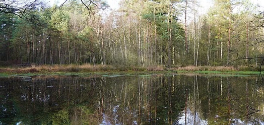 selected_csm_cropmiddle_KAP07785_40d912cf46.jpg