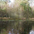 selected_csm_cropmiddle_KAP07785_40d912cf46.jpg
