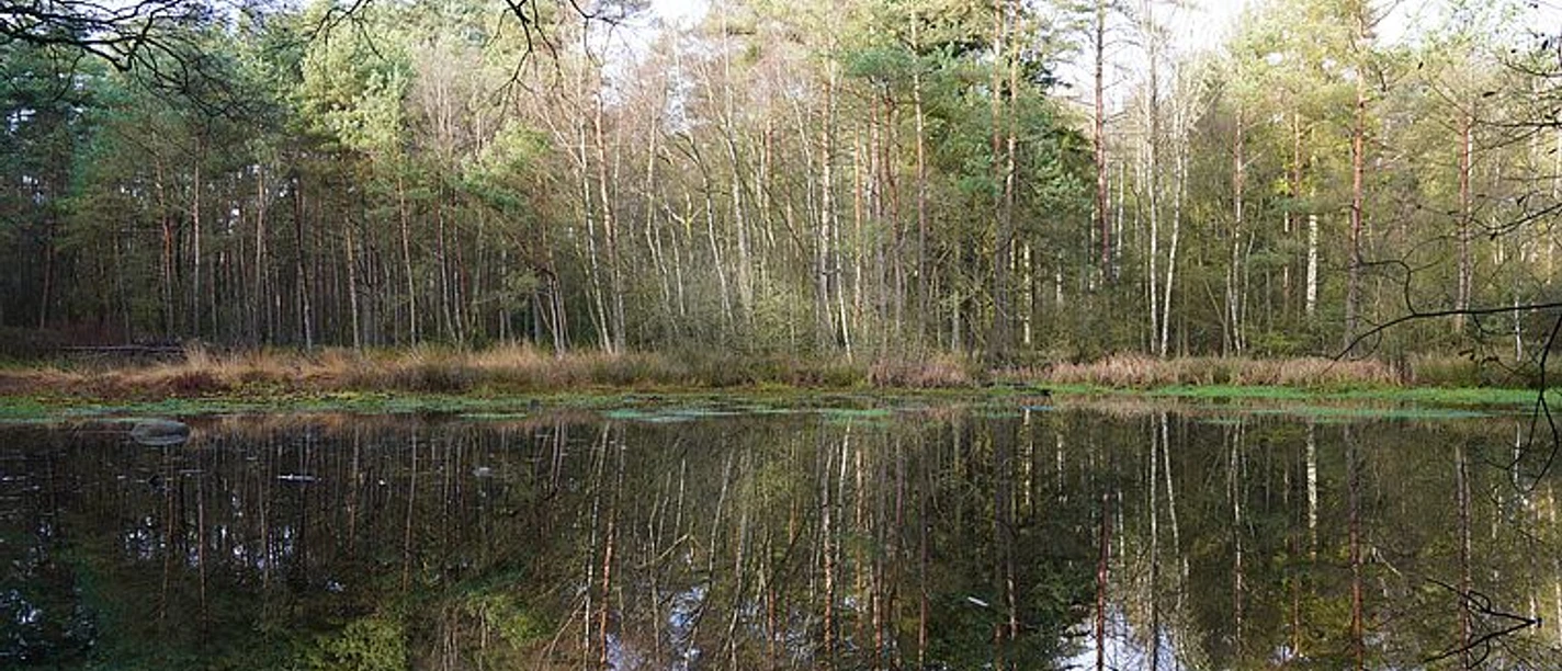 selected_csm_cropmiddle_KAP07785_40d912cf46.jpg