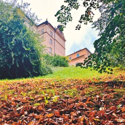 Schloss-Sonnenstein-im-Herbst-2025-(C)-Rx-CMYK.jpeg