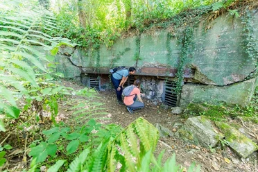 Bunker ET-2022-070-Huertgendwald-Bunker-@Eifel Tourismus GmbH, A-Roeser-shapefruit-AG.jpg