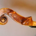 Violinenwirbel