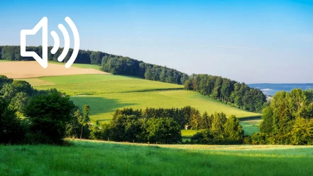 Audio 34 - Volksen, Friedrichshöhe und Wennenkamp, Ein historischer Überblick