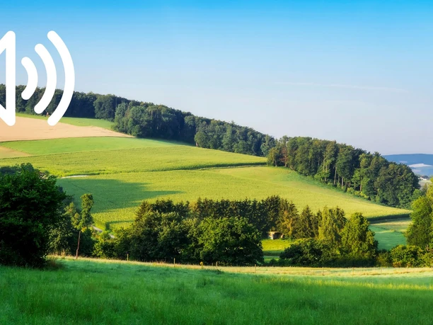 Audio 34 - Volksen, Friedrichshöhe und Wennenkamp, Ein historischer Überblick