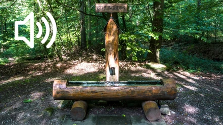 Audio 32 - Hohenrode, Schaumburger Diamanten an der Schlingborner Quelle