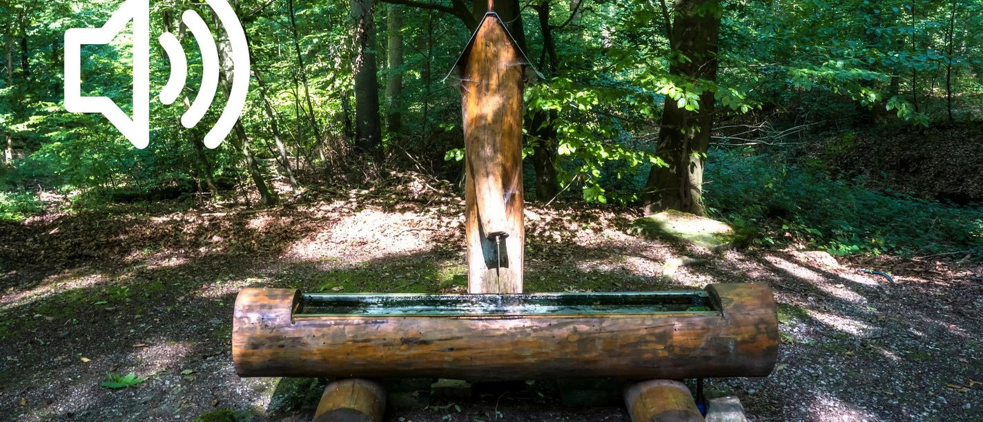 Audio 32 - Hohenrode, Schaumburger Diamanten an der Schlingborner Quelle