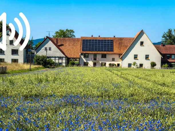 Audio 42 - Möllenbeck, Das Hessendorf