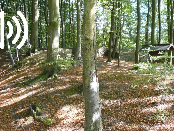 Audio 10 - Todenmann, Die Frankenburg