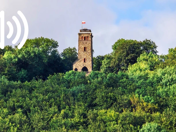 Audio 08 - Rinteln, Der Klippenturm