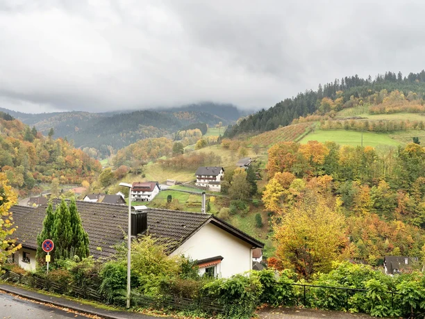 Aussicht vom Balkon