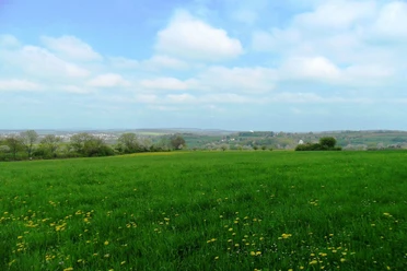 Aussicht am Frohn-Wald-Weg