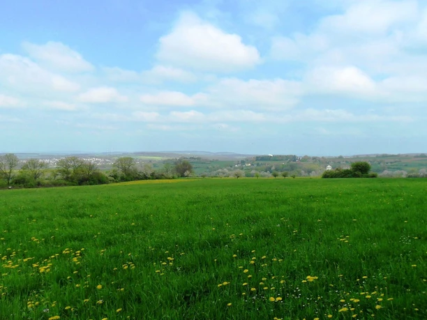 Aussicht am Frohn-Wald-Weg