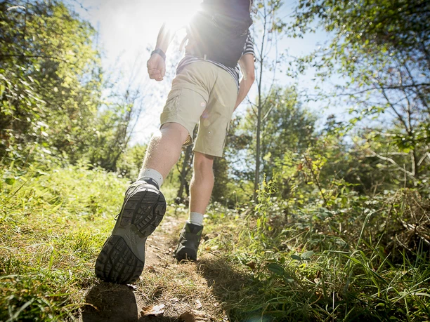 Auf dem Frohn-Wald-Weg