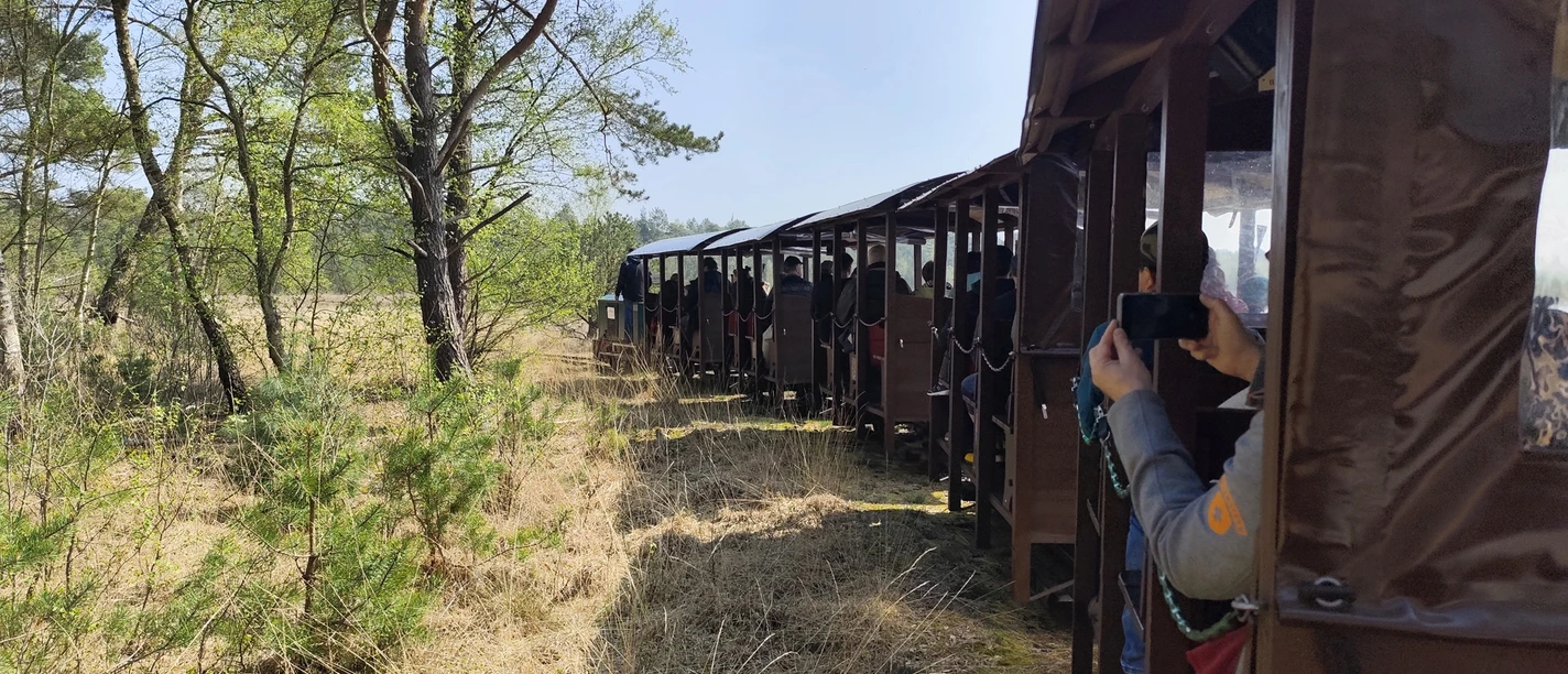 Moorbahnfahrt ins Bauernmoor