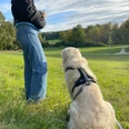 Hundewiese an der Promenade Sparrenburg.jpg