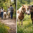 Ponyreiten & Naturerlebnis für Familien