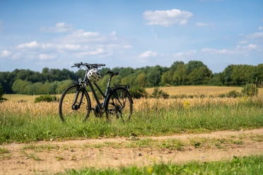 Fahrrad auf Feld Ein Fahrrad steht an einem Feldrand.
