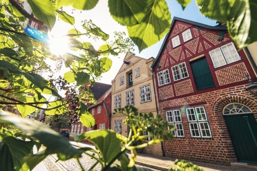 westliche Altstadt Historische Backsteingebäude der Lüneburger Altstadt hinter grünen Blättern bei Sonnenschein.
