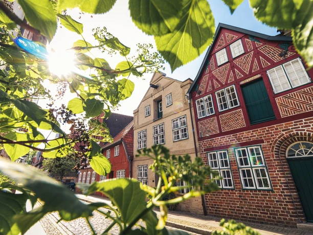westliche Altstadt Historische Backsteingebäude der Lüneburger Altstadt hinter grünen Blättern bei Sonnenschein.
