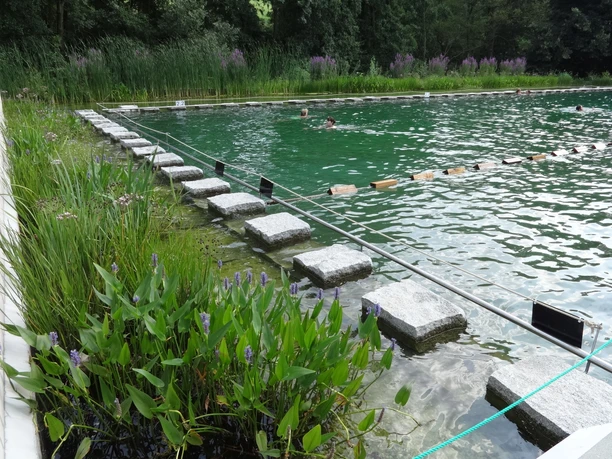 Naturbad Zschonergrund in Dresden-Briesnitz 2.jpg Menschen baden im Naturbad Zschonergrund im Grünen