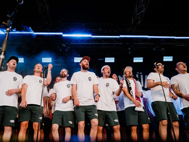 Grüngürtelrosen & friends - Summer garden Group of men in white shirts singing together on an illuminated open-air stage