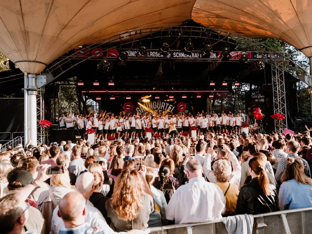 Grüngürtelrosen & friends - Summer garden Large crowd in front of illuminated open-air stage with numerous performers in bright clothing