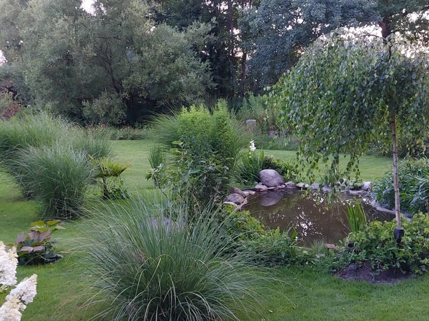 20250709_215956.jpg