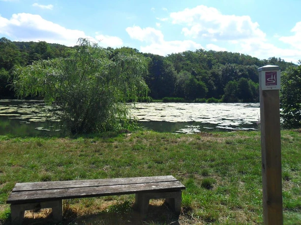Rastbank am Weiher