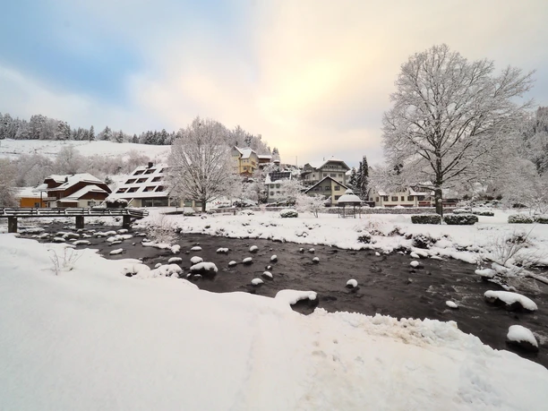 AlteSchmiedeUmgebungWinterLutzLink2
