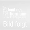 selected_cropmiddle_Land_des_Hermann_Bild_folgt_11.png