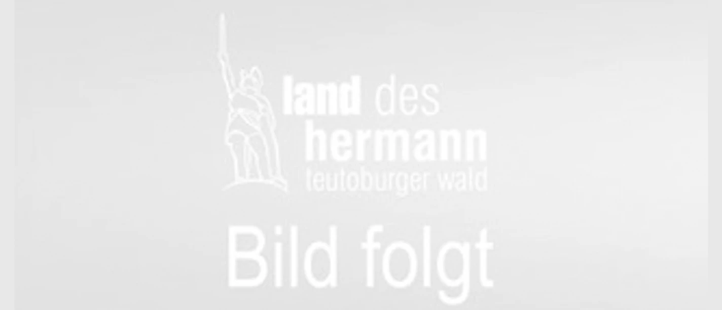 selected_cropmiddle_Land_des_Hermann_Bild_folgt_11.png