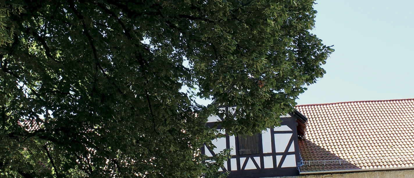 zehntscheune linde sommer.jpg