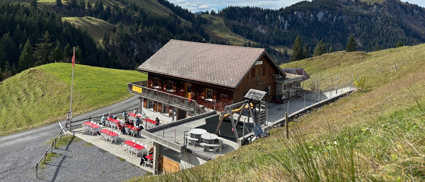Tannibüel summer